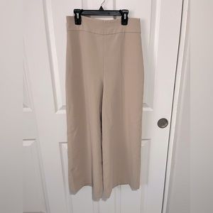Zara Wide Leg Cutlet Pants